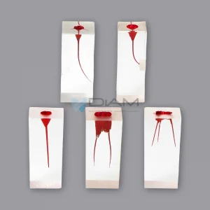 Modelo de diente para tratamiento de endodoncia con pared pulpar coloreada