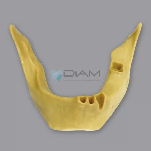 Modelo de mandíbula anatómicamente ósea para la práctica de colocación de implantes dentales