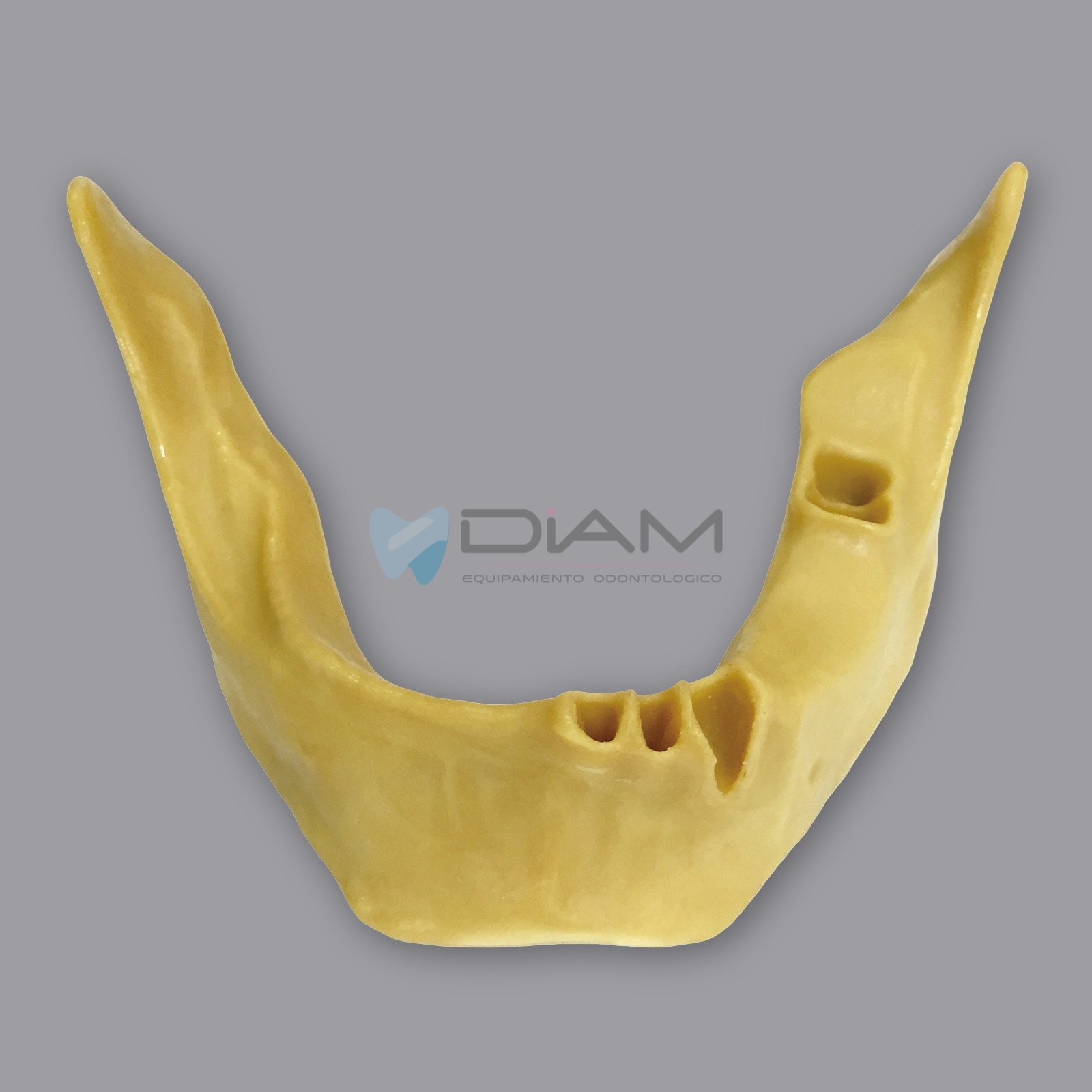 Modelo de mandíbula anatómicamente ósea para la práctica de colocación de implantes dentales