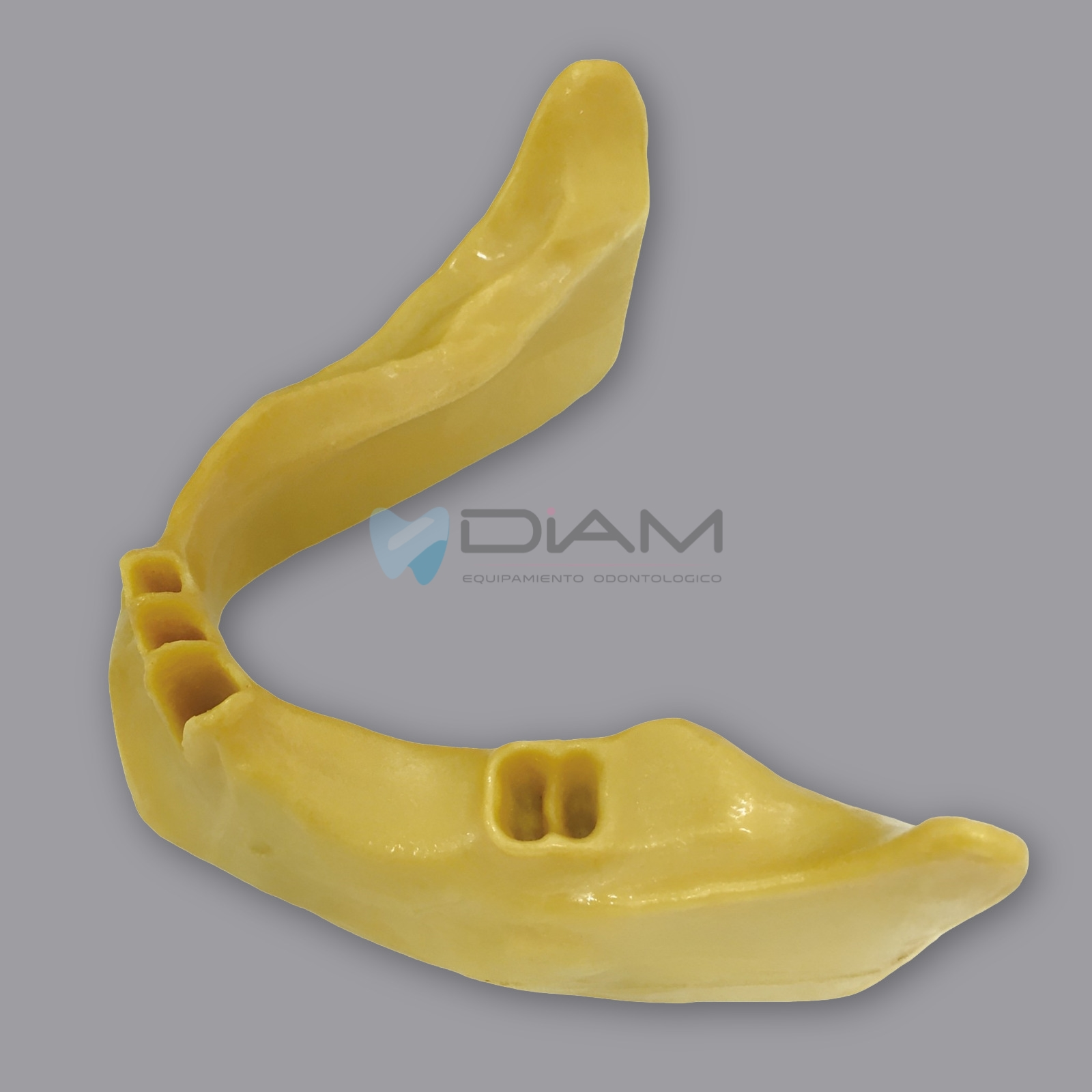Modelo de mandíbula anatómicamente ósea para la práctica de colocación de implantes dentales - Imagen 2