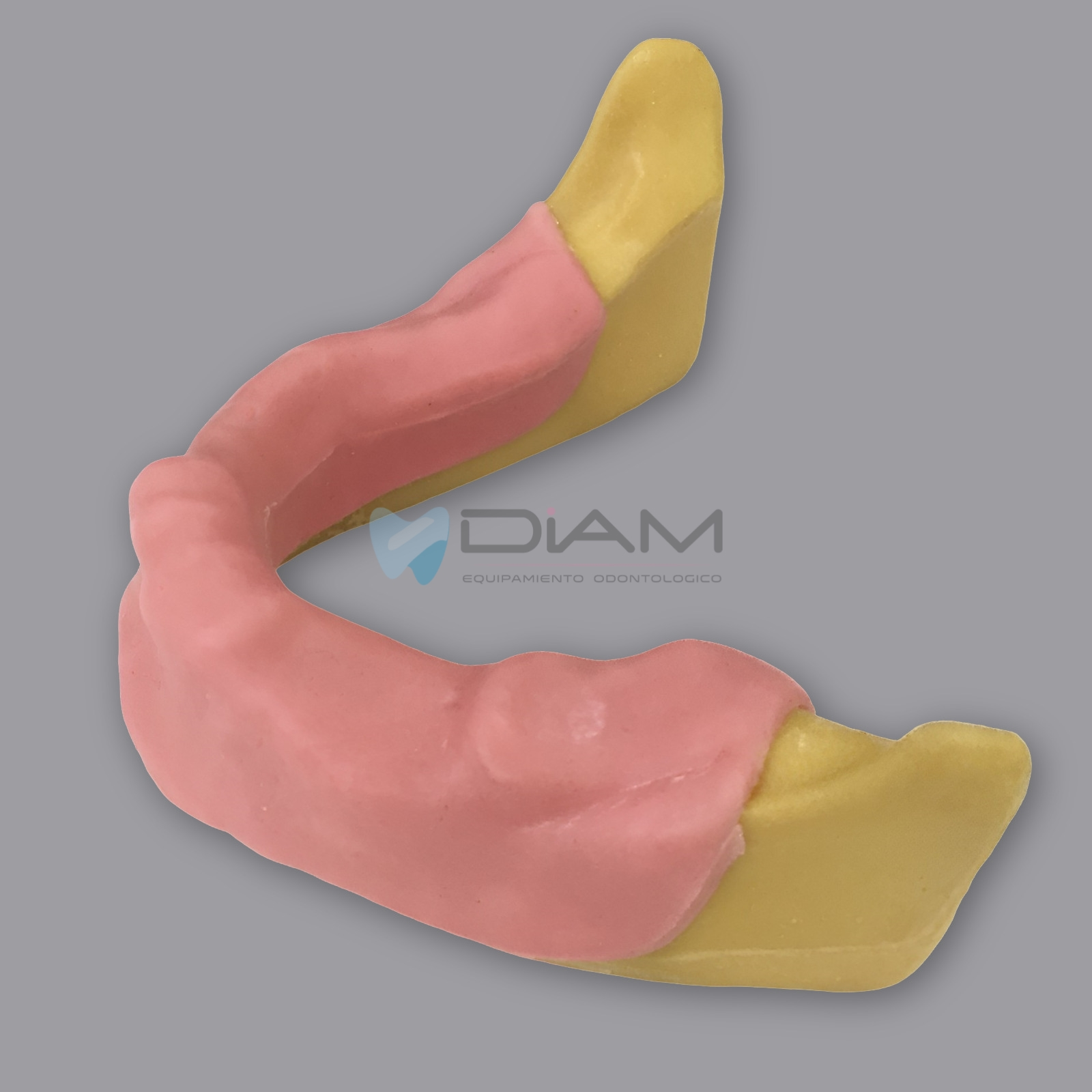 Modelo de mandíbula anatómicamente ósea para la práctica de colocación de implantes dentales - Imagen 3