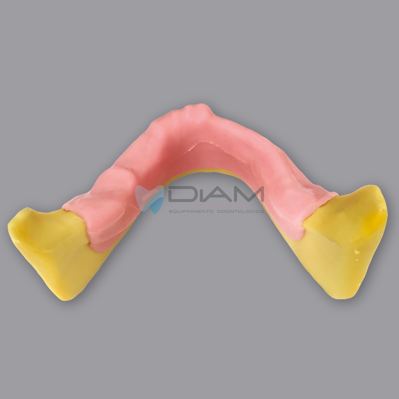 Modelo de mandíbula anatómicamente ósea para la práctica de colocación de implantes dentales - Imagen 4