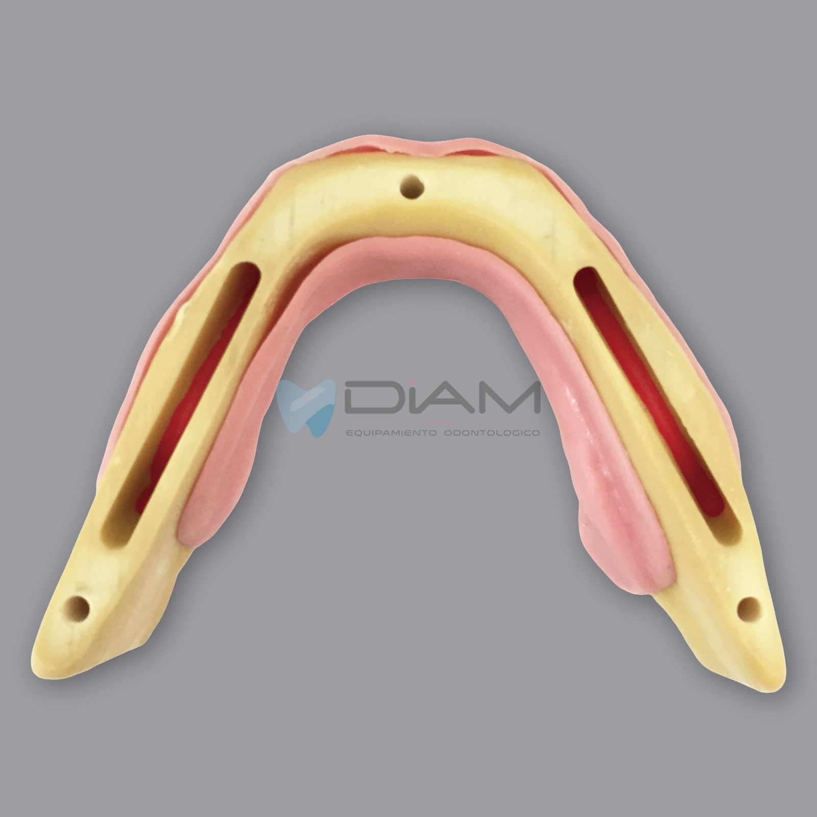 Modelo de mandíbula anatómicamente ósea para la práctica de colocación de implantes dentales - Imagen 6