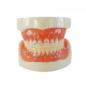 Modelo implante de dentadura completa