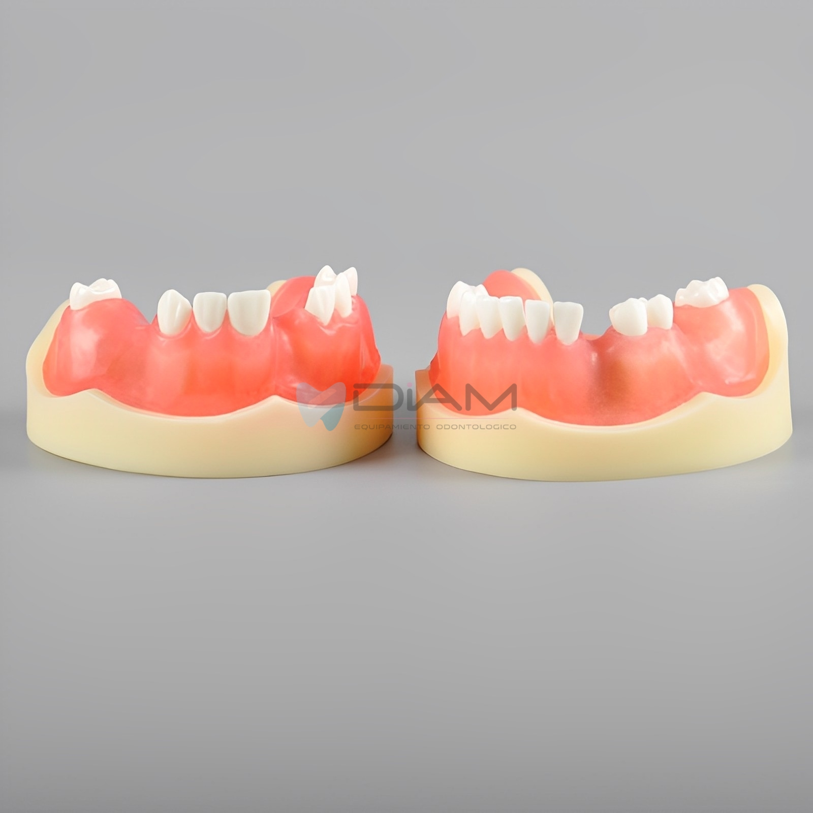 Modelo de práctica anatómico especializado para la práctica de implantes dentales - Imagen 3