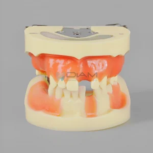 Modelo de implante de silicona para prácticas de corte y sutura