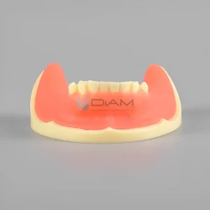 Modelo de implante anatómico para la práctica de implantes dentales en la mandíbula