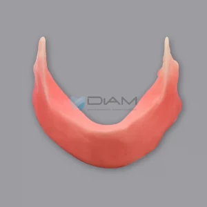 Modelo de práctica de implantes y sutura