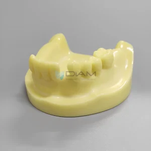 Modelo para práctica de implantes inferior parcialmente edéntulo para práctica de fresado