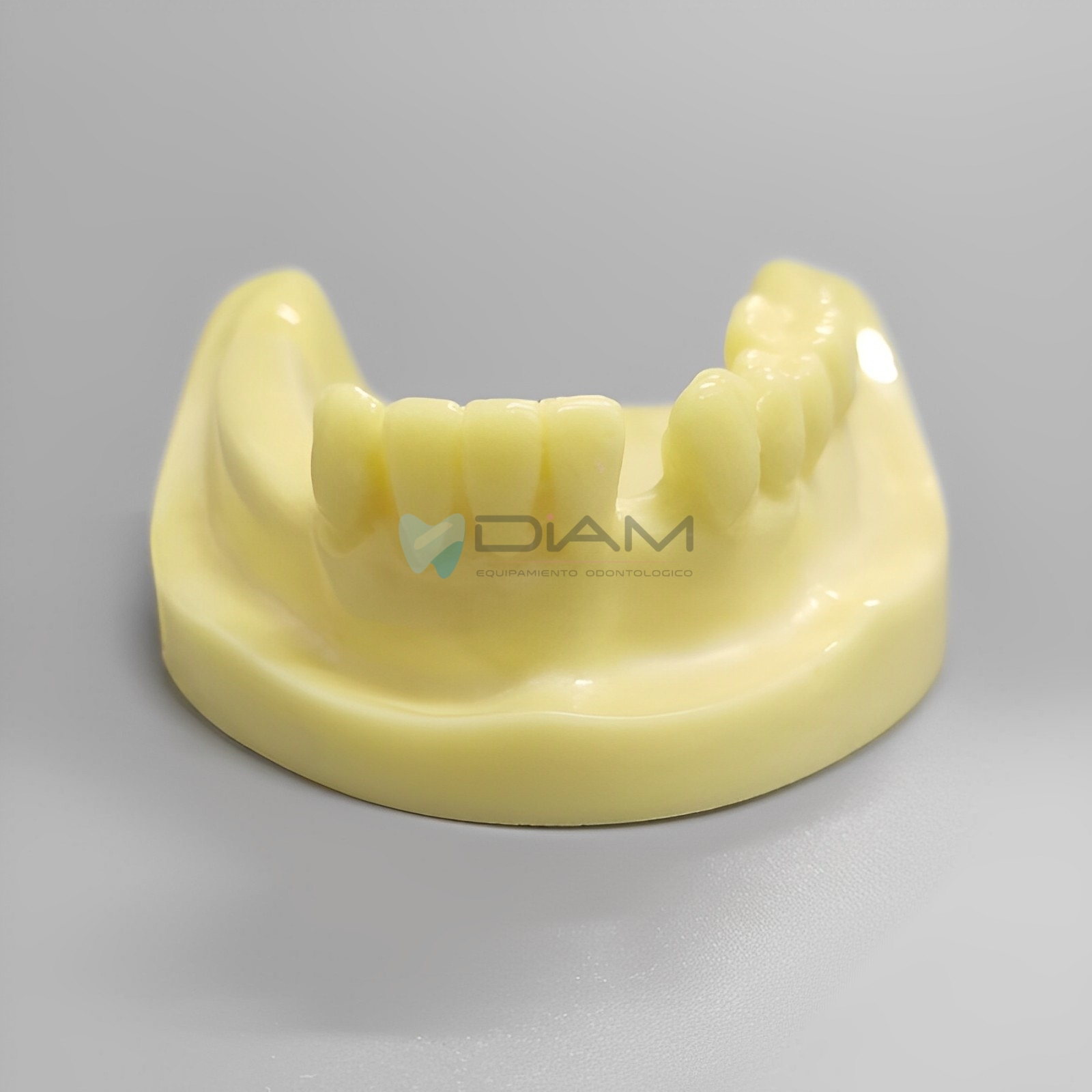 Modelo para práctica de implantes inferior parcialmente edéntulo para práctica de fresado - Imagen 2