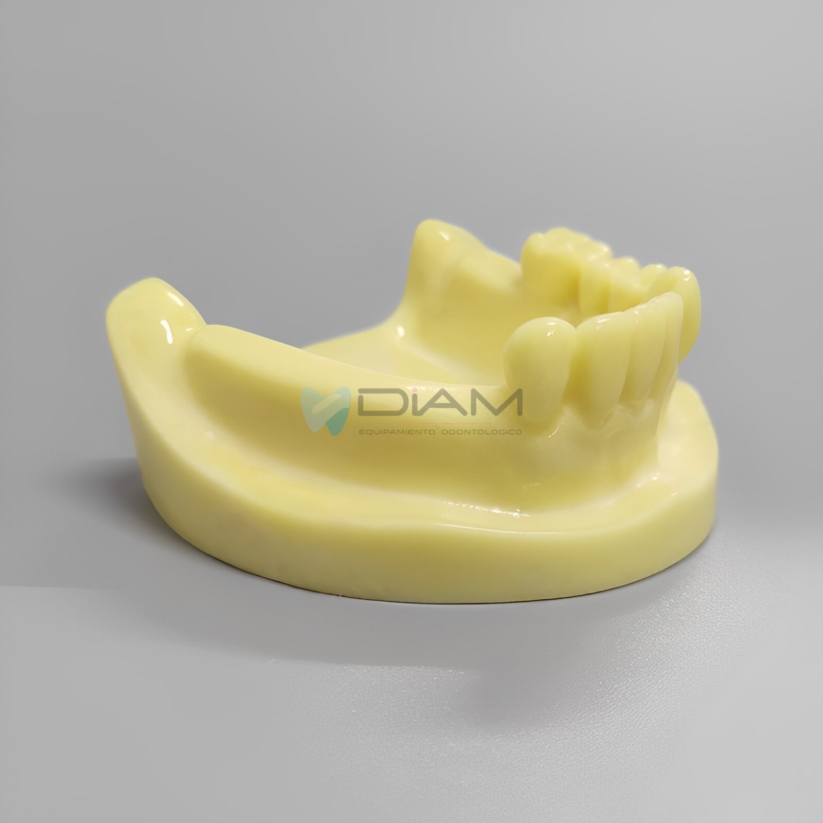 Modelo para práctica de implantes inferior parcialmente edéntulo para práctica de fresado - Imagen 3