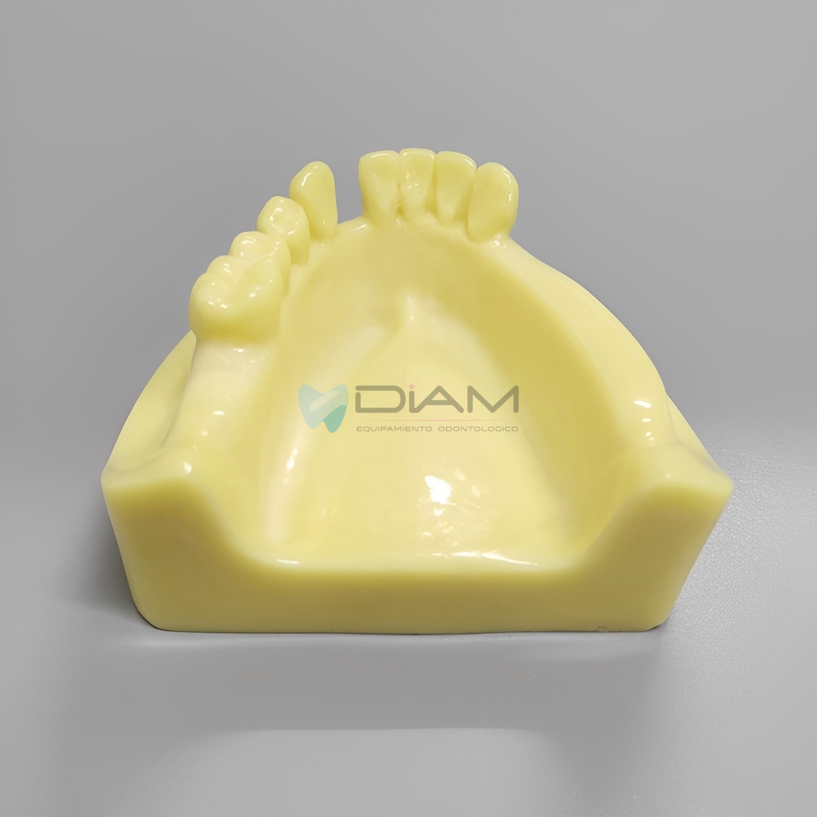 Modelo para práctica de implantes inferior parcialmente edéntulo para práctica de fresado - Imagen 4