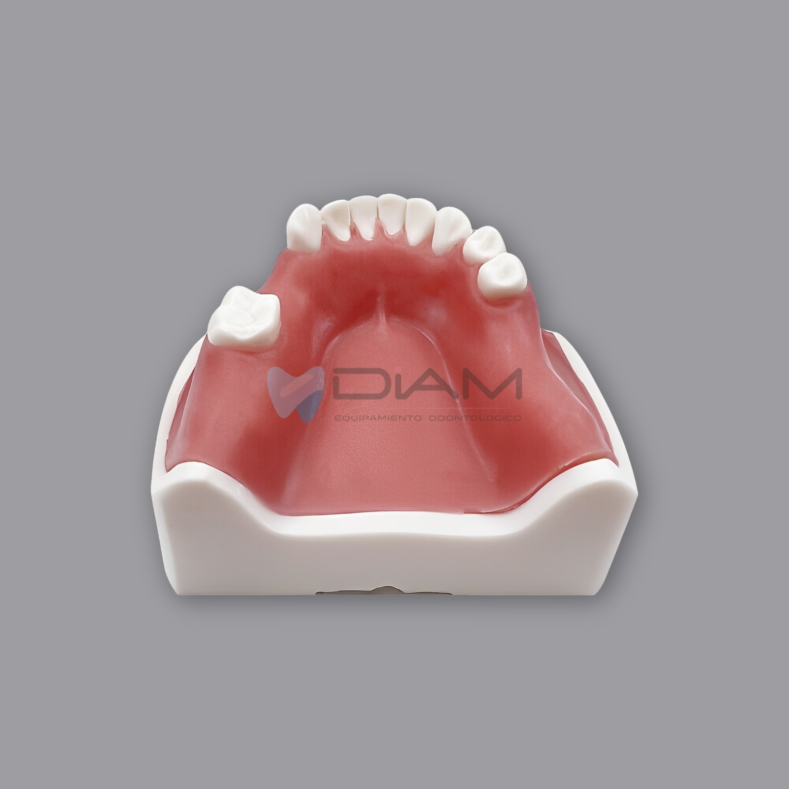 Modelo inferior de implante para prácticas de corte, implantación y sutura - Imagen 2