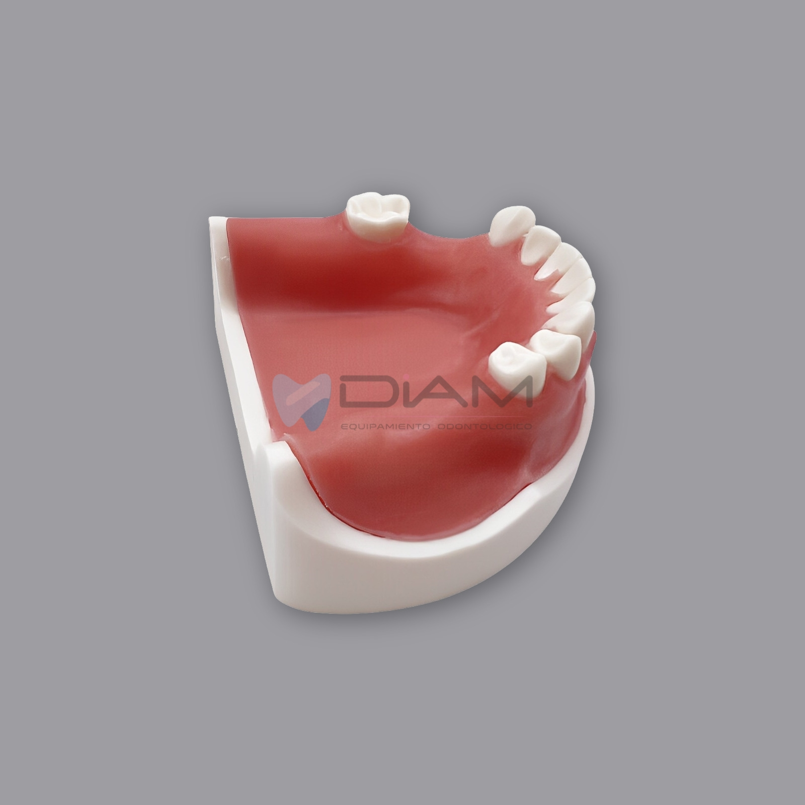 Modelo inferior de implante para prácticas de corte, implantación y sutura - Imagen 4