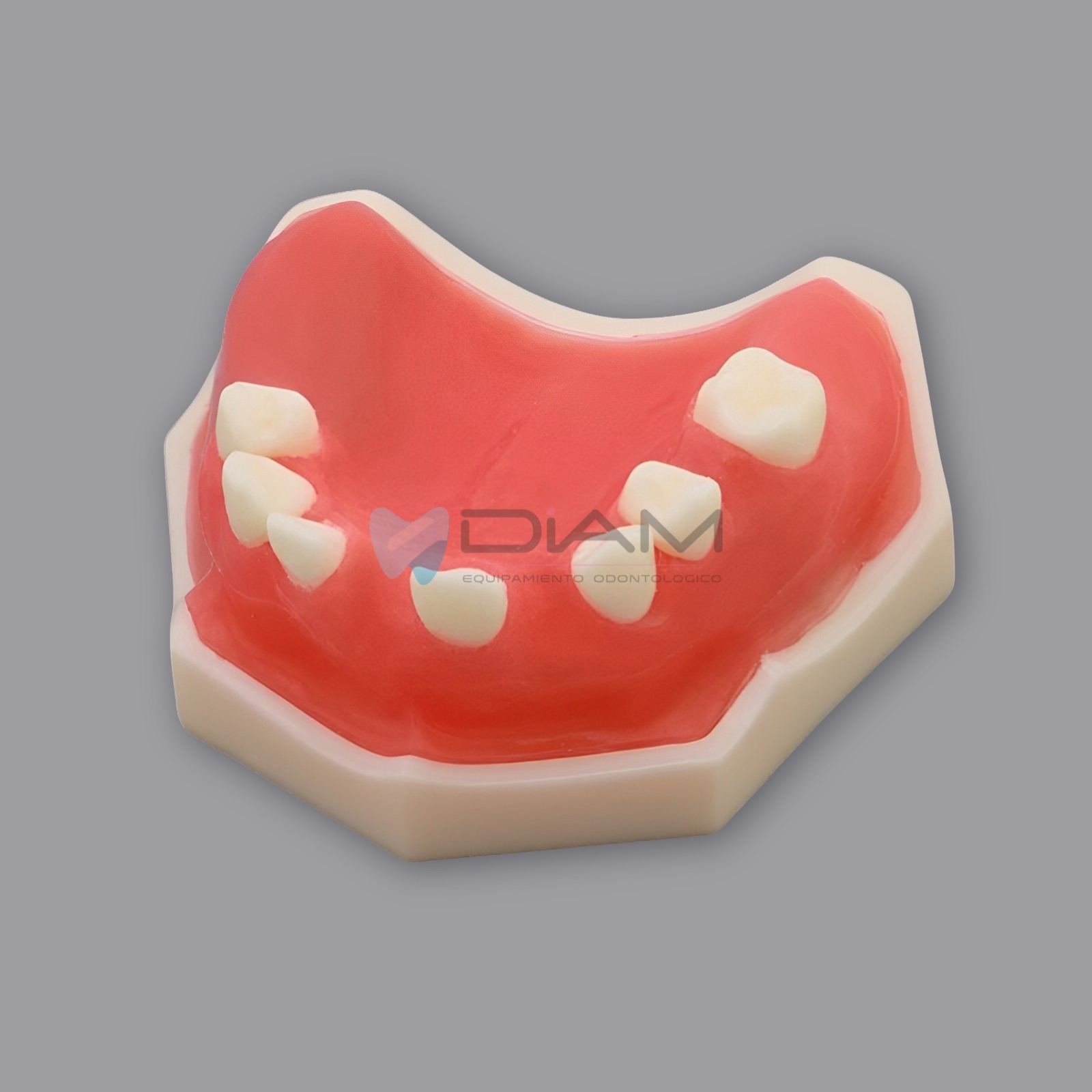 Modelo maxilar superior parcialmente dentado para práctica de implantes y sutura