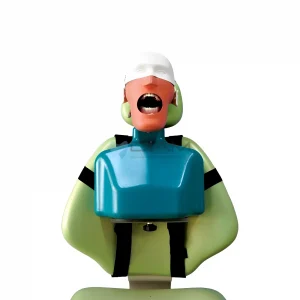 Simulador dental con torso
