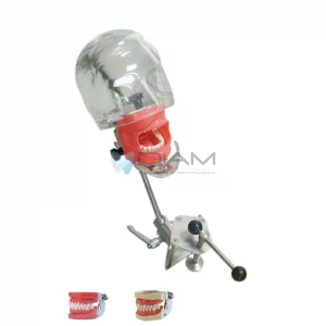 Simulador dental de cabeza avanzado