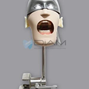 Simulador dental de cabeza avanzado de acero inoxidable