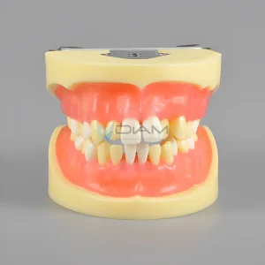 Modelo de entrenamiento de extracción de dientes.