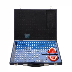 Dientes con cavidad de preparación (151 piezas/set)